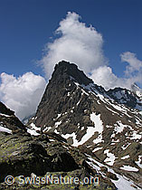 F024222: Grampielpass, Binntal