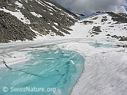F024260: Türkisfarbener Bergsee mit Eisschollen