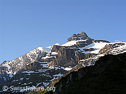 F024330: Morgenhorn und Wildi Frau