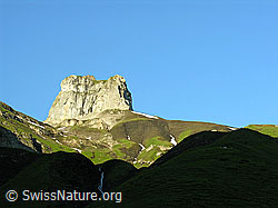 F024341: Chlyne Bundstock