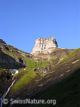 F024343: Chlyne Bundstock