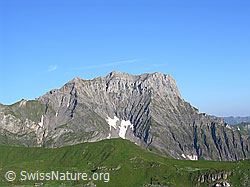 F024357: Ärmighorn und Chistihubel