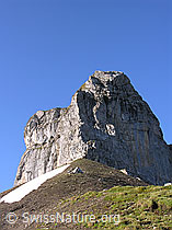 F024373: Chlyne Bundstock