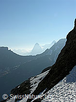 F024379: Sefinefurge