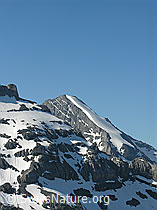 F024392: Fründenhorn