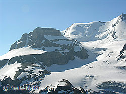 F024398: Hohtürli, Wildi Frau, Morgenhorn