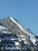F024405: Sielschaften am Fründenhorn