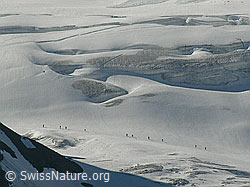 Foto: Seilschaften mit Alpinisten auf dem Blüemlisalpgletscher