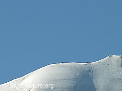 F024435: Seilschaften kurz vor dem Gipfel des Blüemlisalphorns