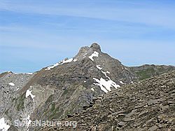 F024459: Dündenhorn