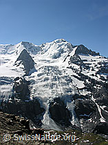 Foto: Blüemlisalphorn und Wyssi Frau