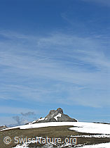 F024508: Dündenhorn