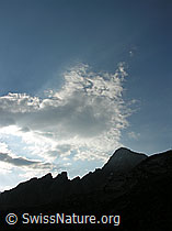 F025467: Morgenstimmung: Gezackter Felsgrat im Gegenlicht