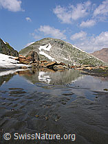 F025560: Schwemmebene mit Spiegelung des Oberblatthorns