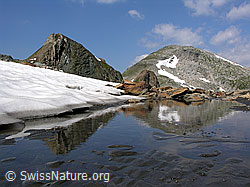 F025563: Schneefeld und kleine Schwemmebene mit Spiegelung