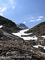 F025574: Blauseelicke und Bortelhorn