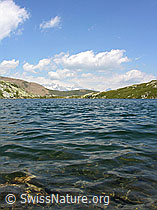 F025587: Blausee, Saflischtal