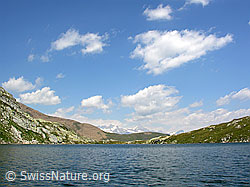 F025592: Weisse Wolken über dem Blausee