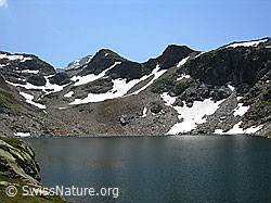 F025606: Blausee, Saflischtal