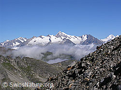 F025781: Helsegletscher: Berner Alpen