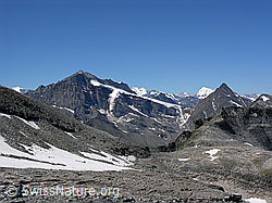 Foto: Helsegletscher: Ritterpass, Monte Leone, Bortelhorn