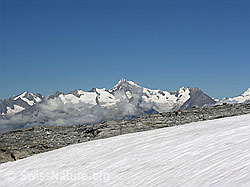 Foto: Helsegletscher, Binntal und Berner Alpen