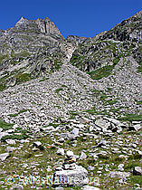 F025837: Chummibort, Binntal