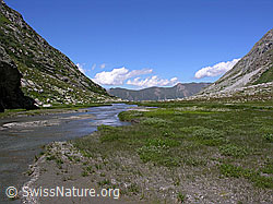 F025839: Chummibort, Binntal