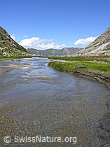 F025840: Chummibort, Binntal