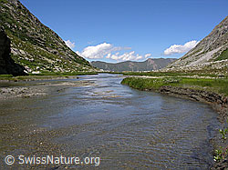 F025843: Chummibort, Binntal