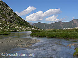 F025847: Chummibort, Binntal