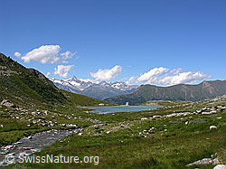 F025850: Bergbach und Staubecken im Chummibort