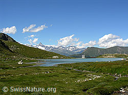 F025851: Stausee Chummibort und Berner Alpen