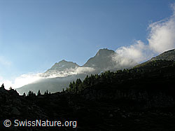 F025862: Morgenstimmung um Schwarzhorn und Fleschhorn