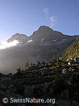 F025864: Schwarzhorn und Fleschhorn mit Morgenstimmung