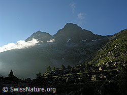 F025865: Nebelstimmung um Schwarzhorn und Fleschhorn