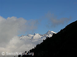 F025870: Geisshorn und Aletschhorn durch Wolkenlücke