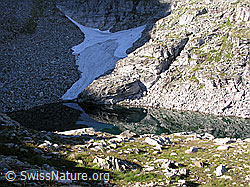 F025874: Fleschsee mit Schatten, Lengtal, Binntal