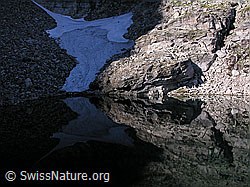 F025877: Licht und Schatten auf Bergsee mit Spiegelung eines Felsens
