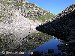 F025878: Spiegelglatte Wasseroberfläche eines Bergsees