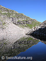 F025883: Spiegelbild im Fleschsee, Lengtal