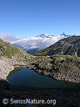 F025887: Fleschsee, Wannenhorn, Finsteraarhorn