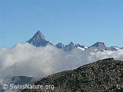 F025892: Finsteraarhorn von Wolken umgeben