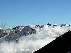 F025903: Wolkendecke über dem Binntal