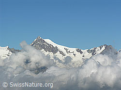 F025920: Halbelfjoch: Wolken um das Aletschhorn