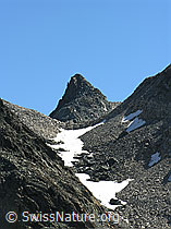 F025922: Halbelfjoch: Gipfel des Schwarzhorn