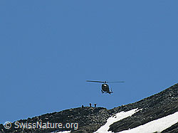 F025936: Übung einer Bergrettung mit Helikopter