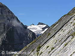 Foto: Halbelfjoch: Hillehorn