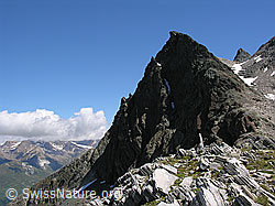 F025969: Wannigletscher (Halbelfjoch): Fleschhorn