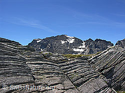 F025972: Felsstruktur am Halbelfjoch und Helsenhorn
